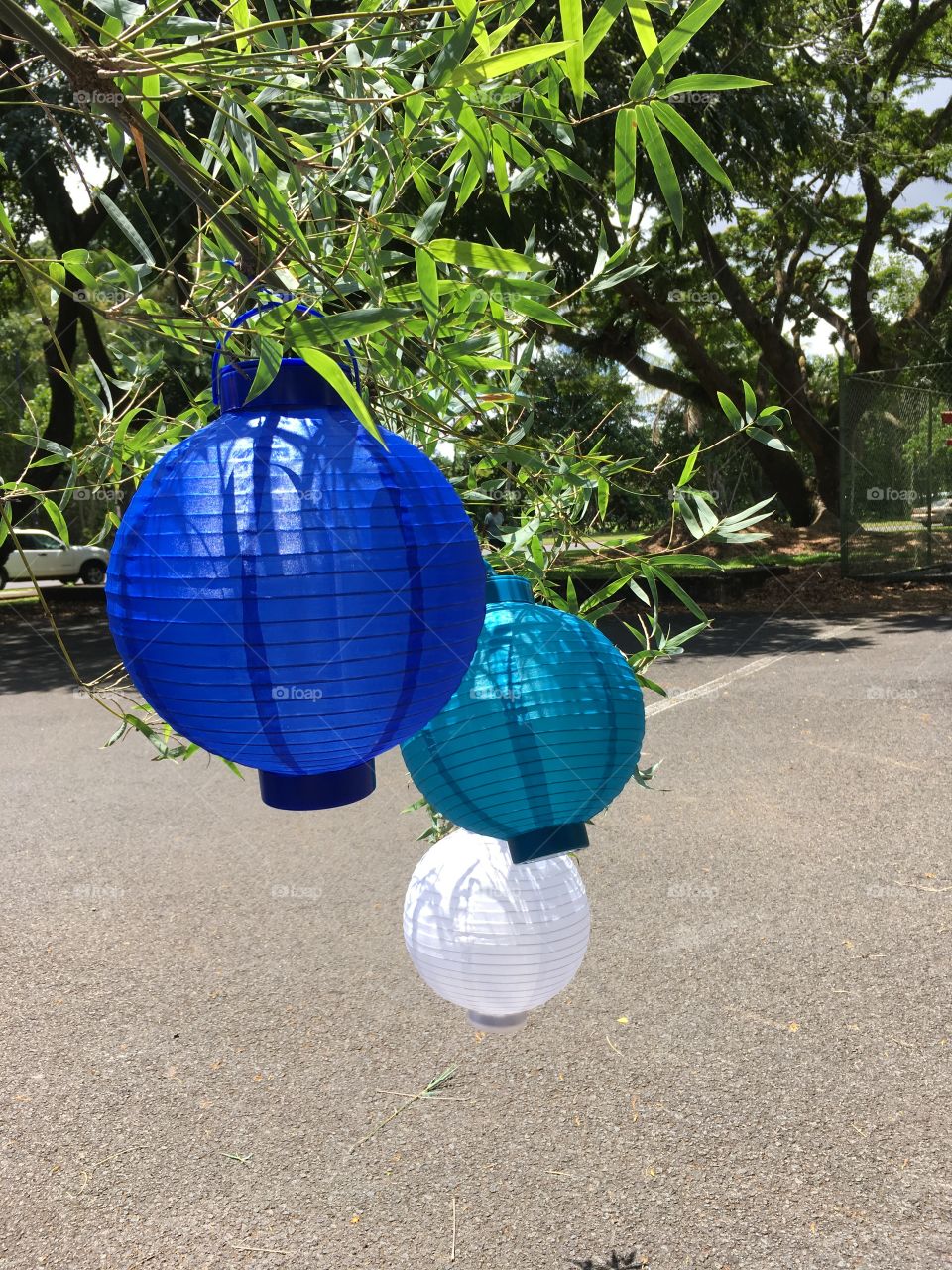 Japanese lanterns blue