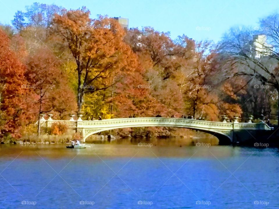 Central Park Fall 