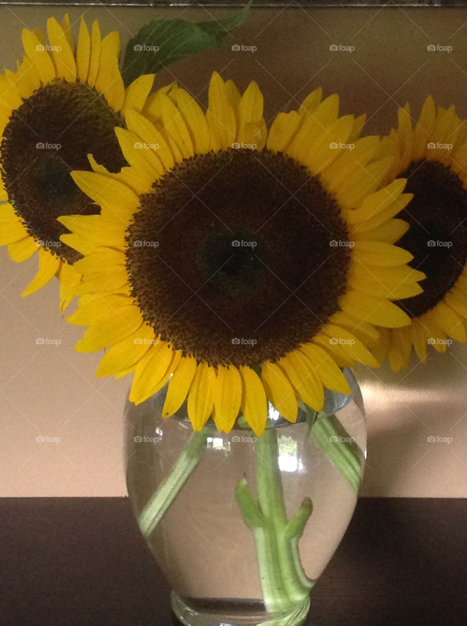 A vase of beautiful sunflowers.