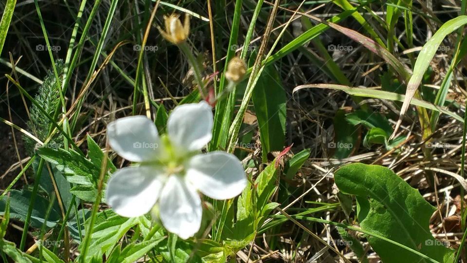 Summer beauty