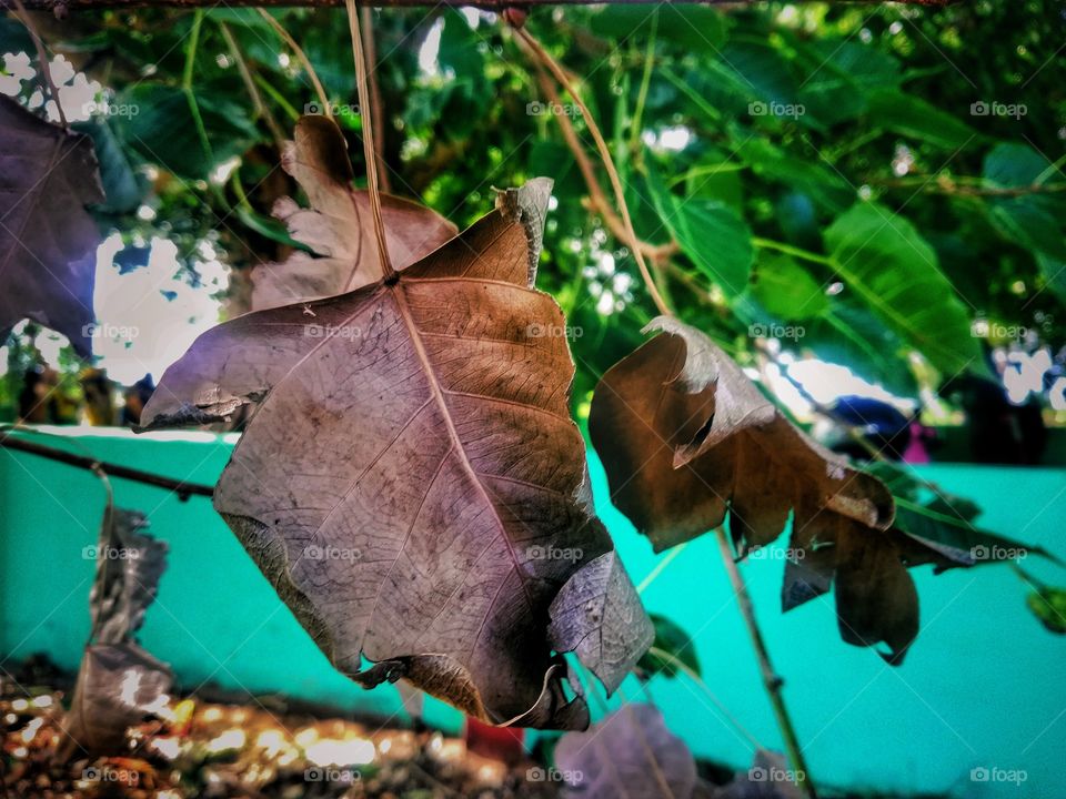 very cool the autumn session will be started