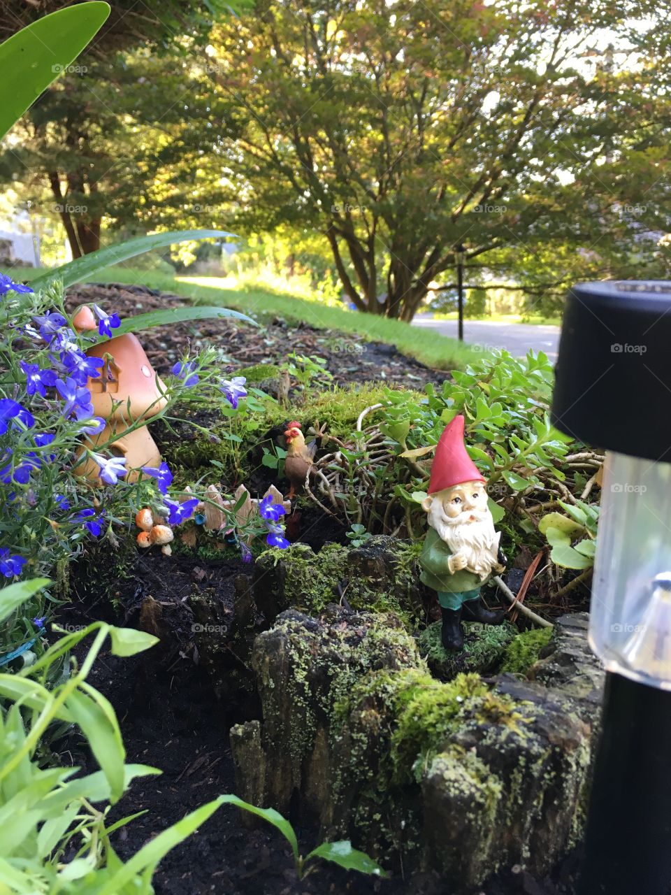 Gnome Life