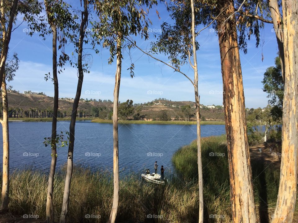 Lake
Boat
Tree
Nature