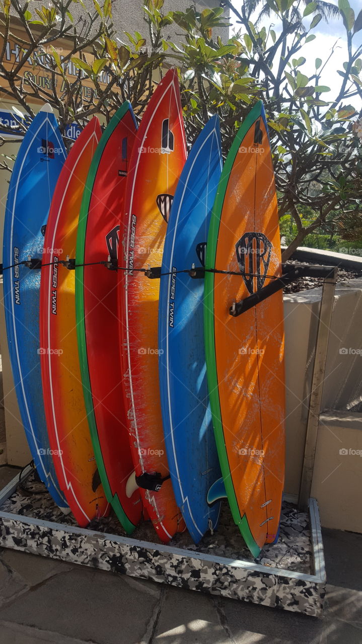 row of colorful surfboards.