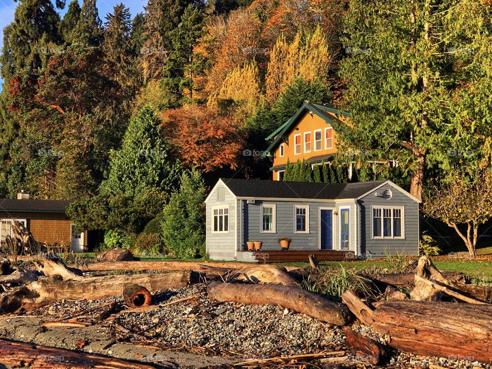 Foap Mission “Editors Choice: Photo of the Week”! Fall In The Pacific Northwest On Vashon Island!”