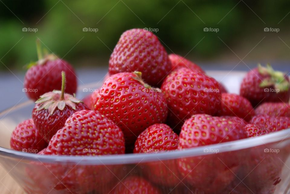 Strawberries in glass bowl