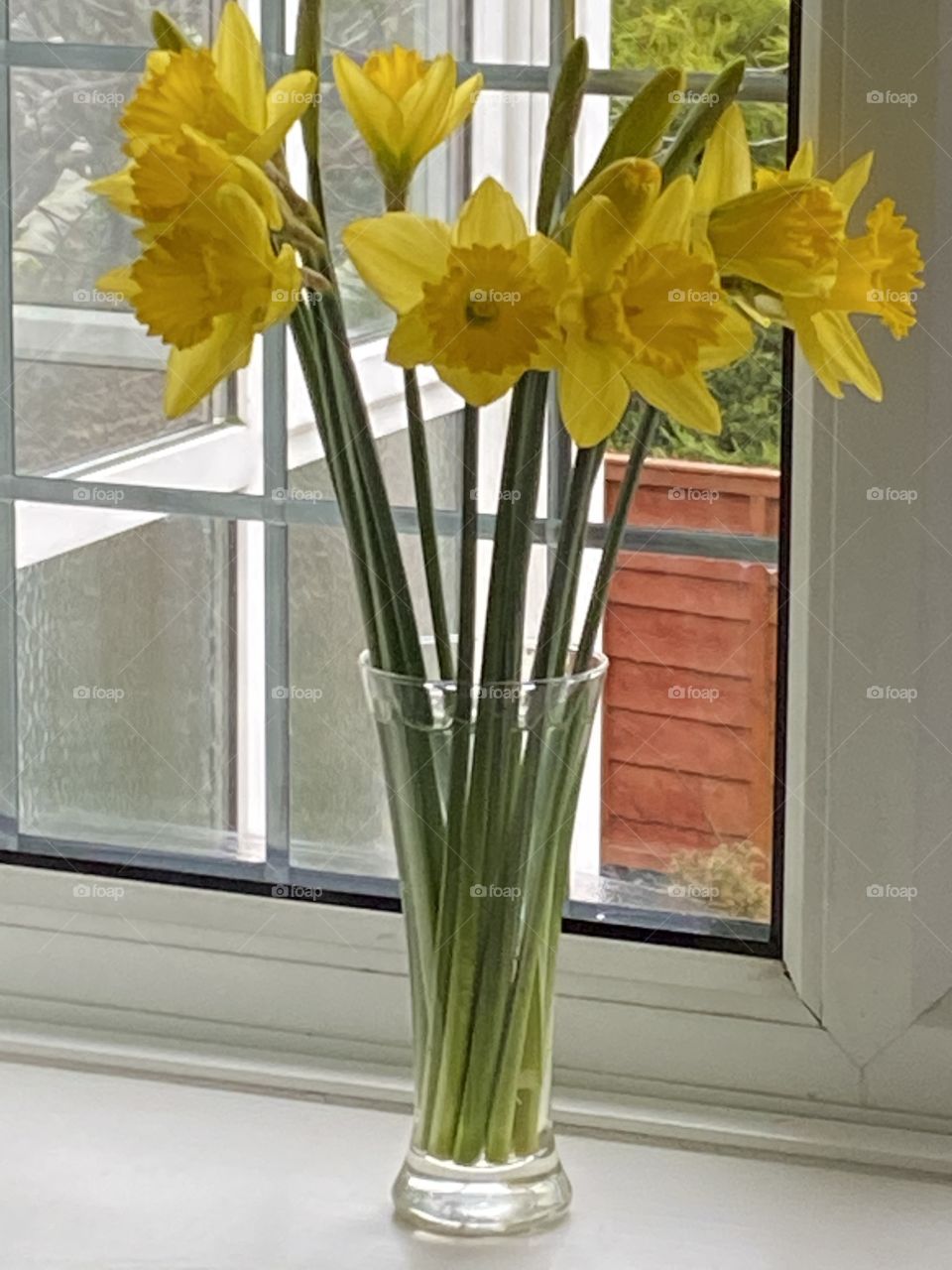 Welcome Spring Flowers, that are so needed in Winter, when colour in flowers is in short supply.