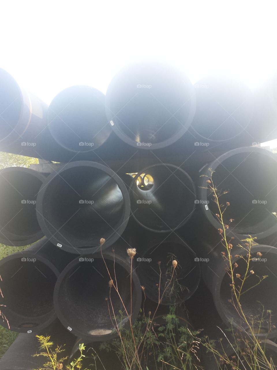 developmental elements