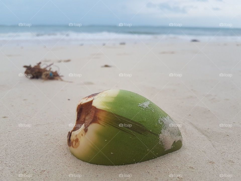 Coconut on the beach