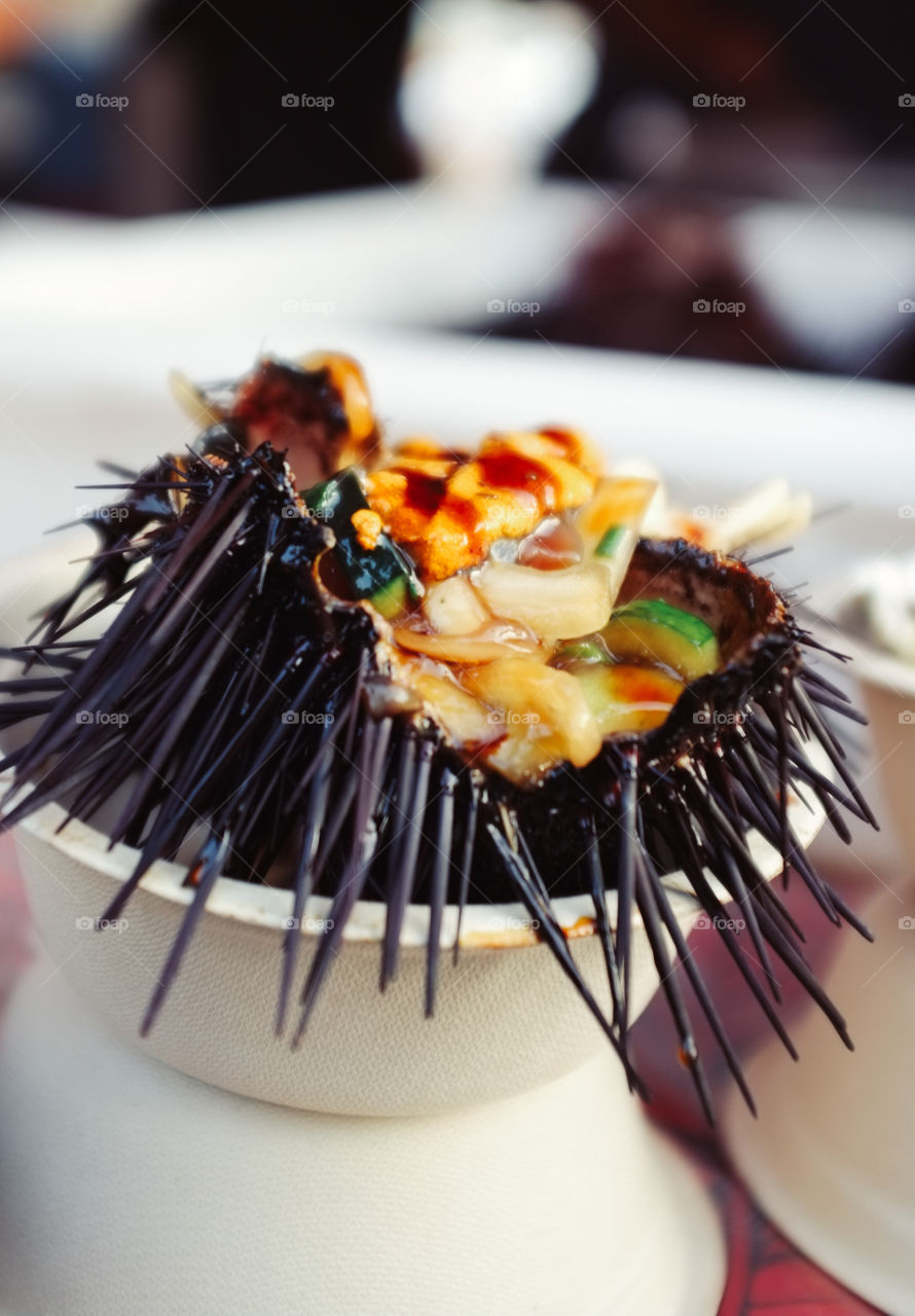 Sea Urchin 