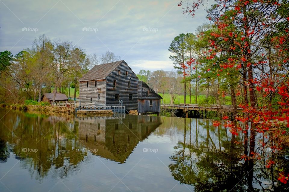 View of an old gristmill from across the millpond at Historic Yates Mill County Park during the Spring season. 