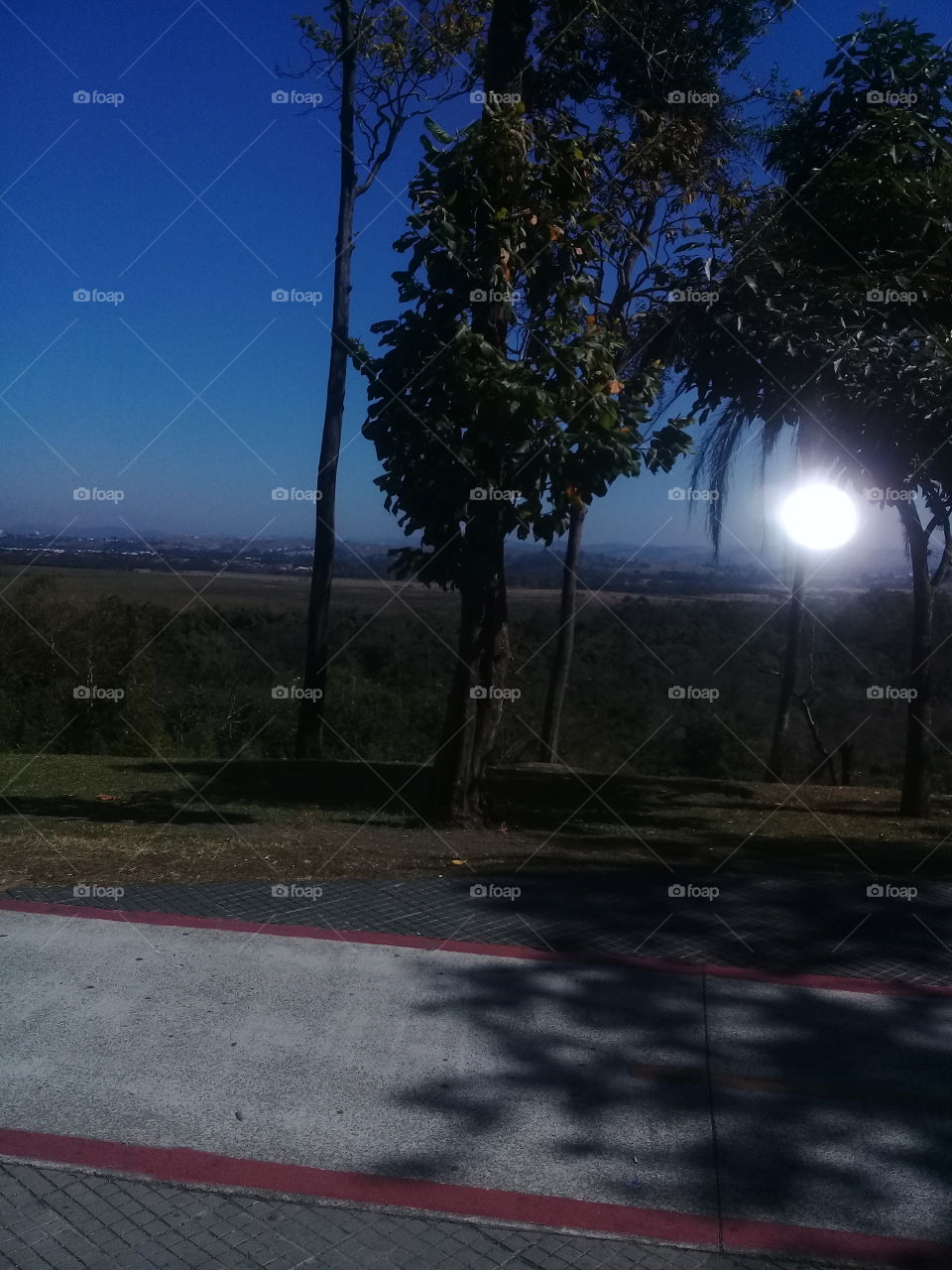 nature's splendor always shows its exuberance