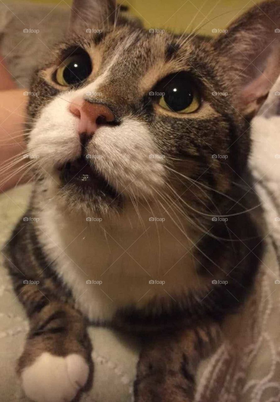 My friend with big eyes