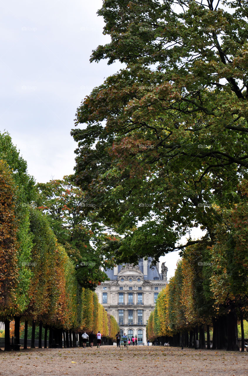 Autumn park in Paris 