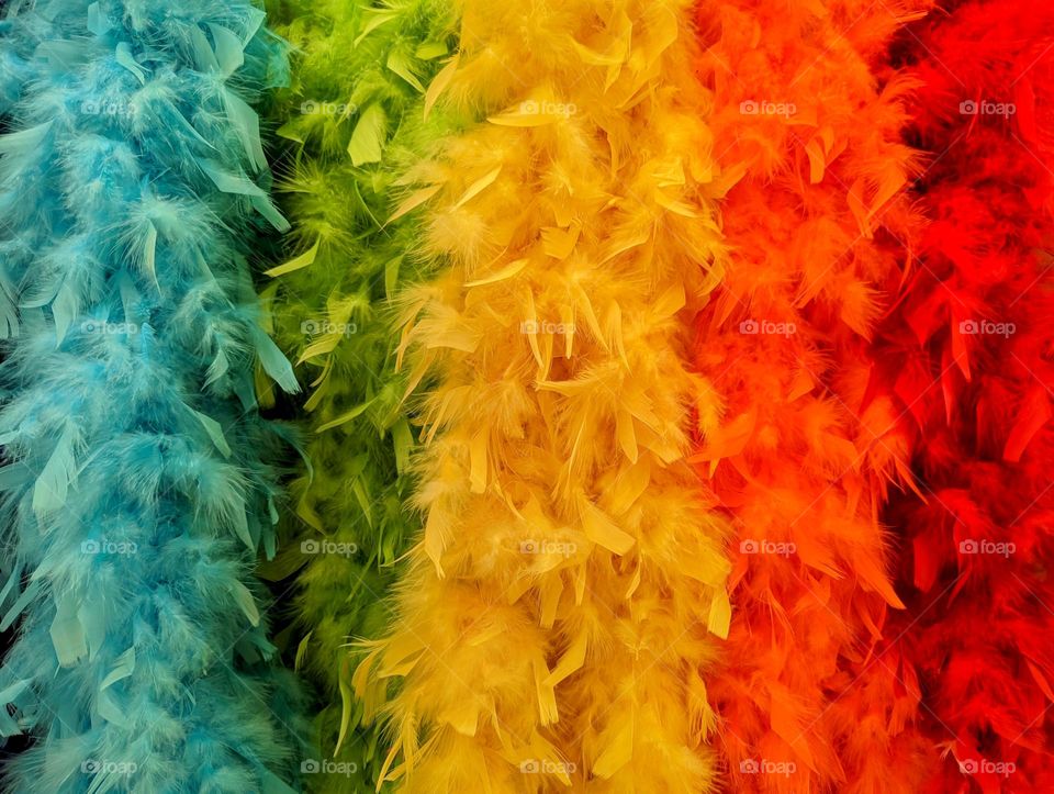 Pride colors: Rainbow Boas