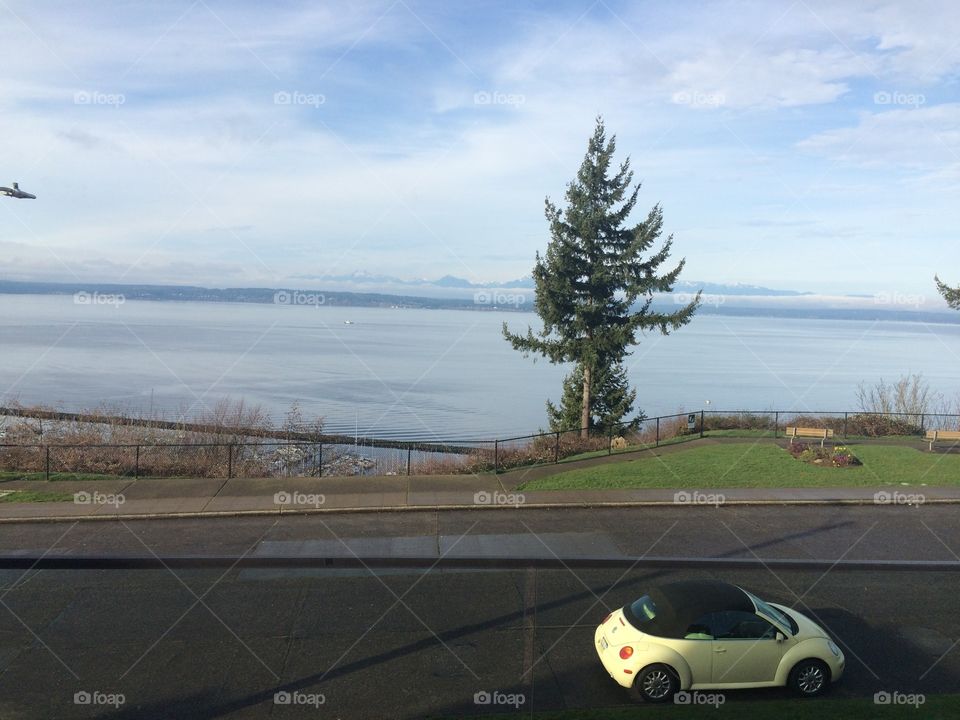 A car overlooking the ocean