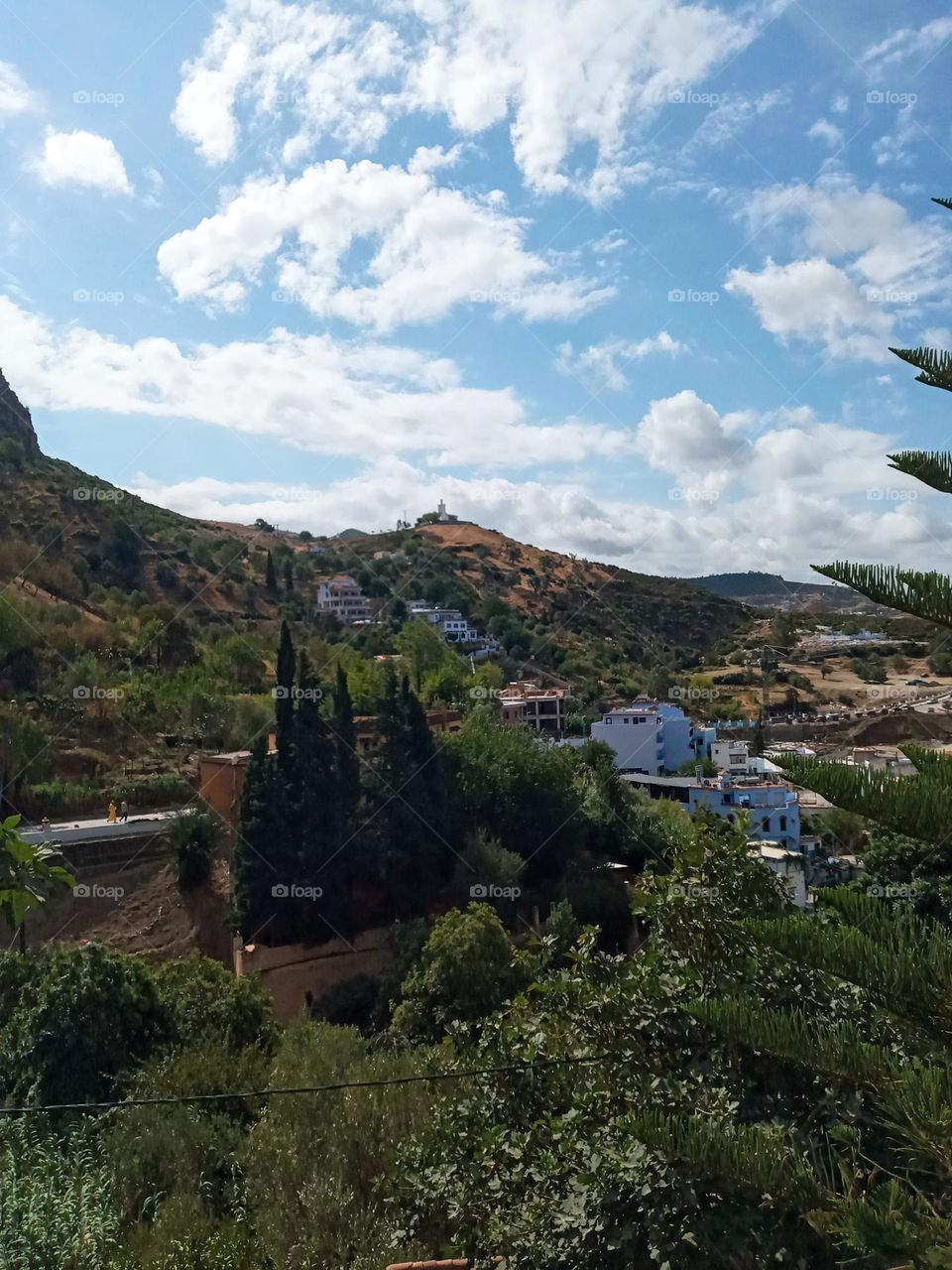 Population between the nature