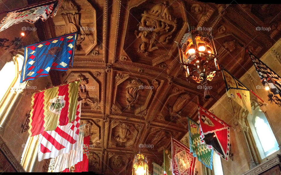 sky wood trees water by itsAus