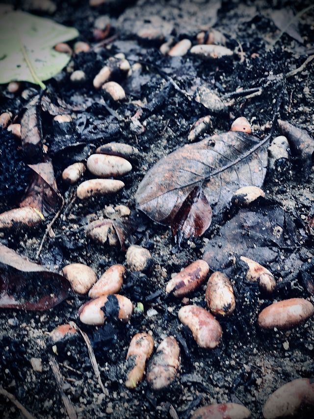 Magical Earth mess 