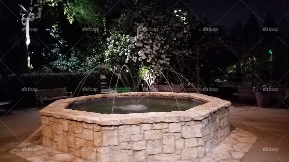 Fountain in Arboretum at night