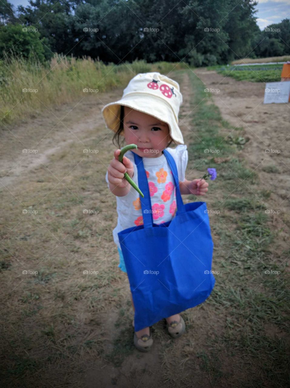 Child, People, Toddler, Outdoors, Boy