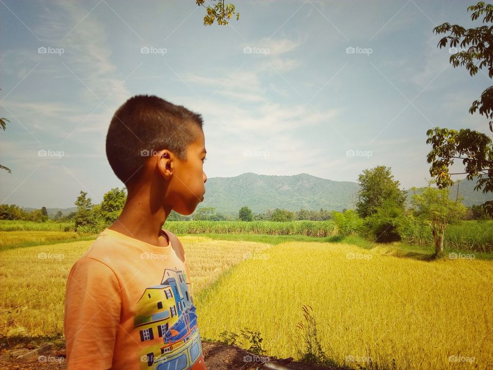 farmland,Rice fields, mountains,boy