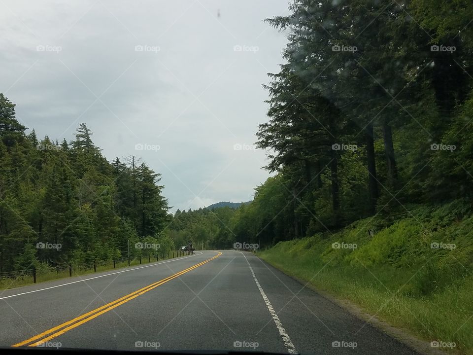 Road, Asphalt, No Person, Highway, Tree
