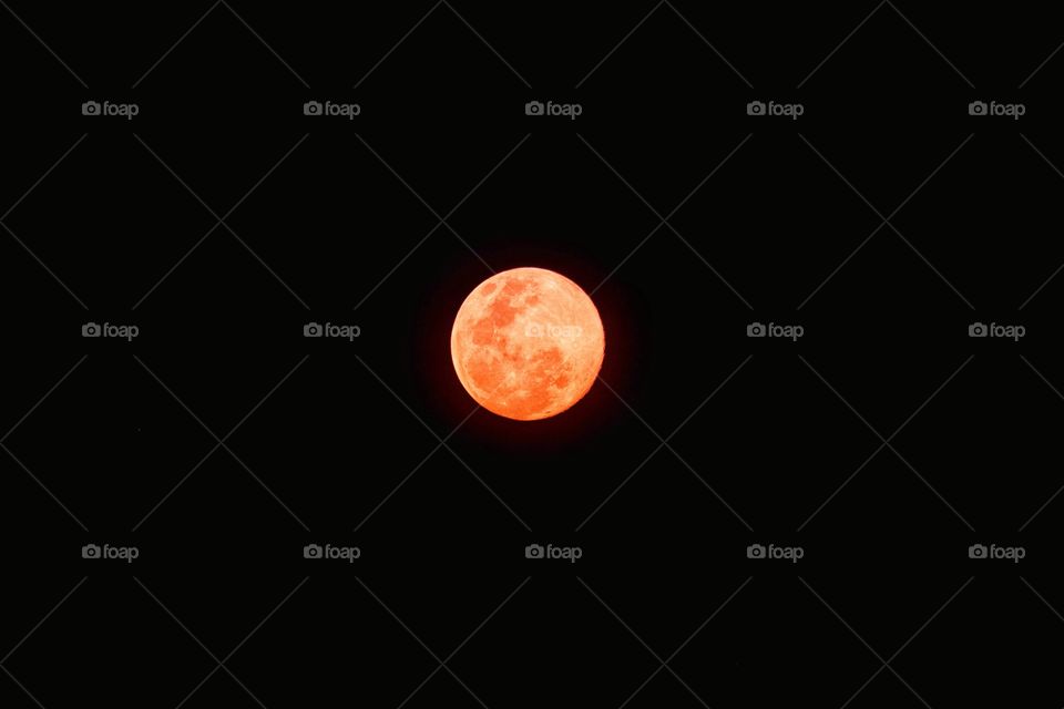 Big orange full moon day in 2020 year