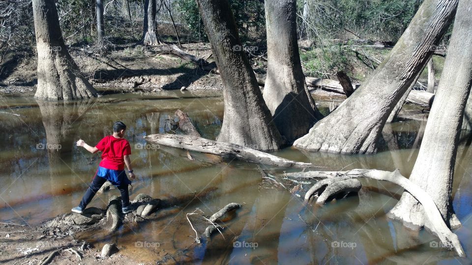 Water, Nature, Tree, Wood, Outdoors