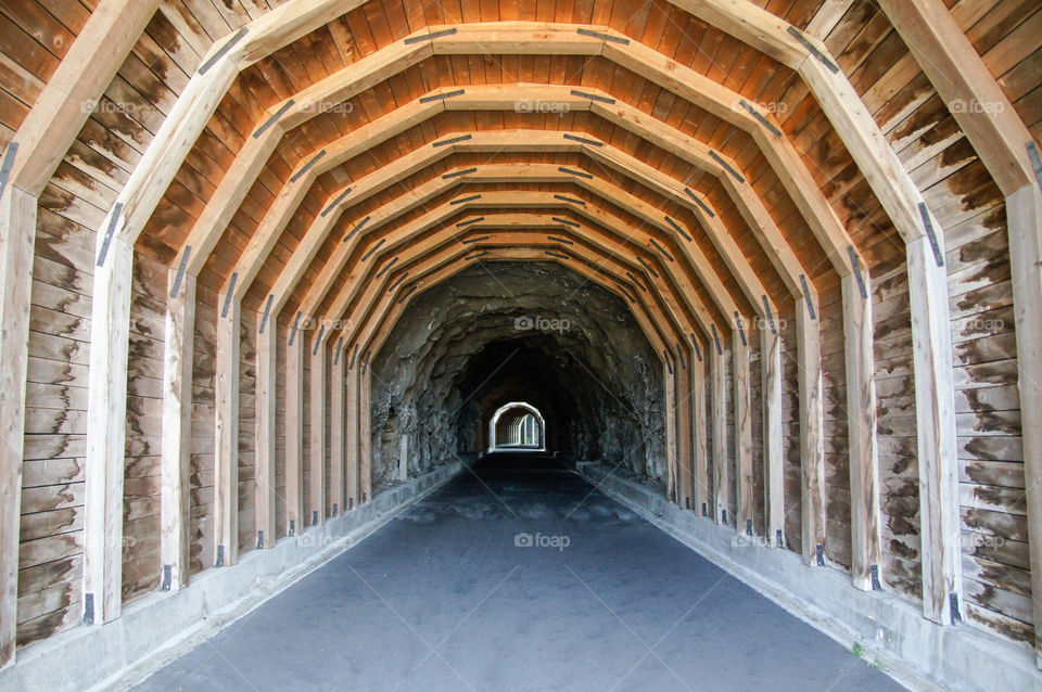 Down the Rabbit Hole