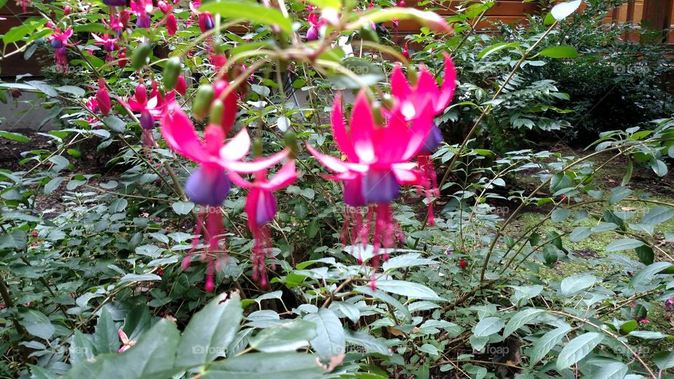 Beauty is everywhere! 