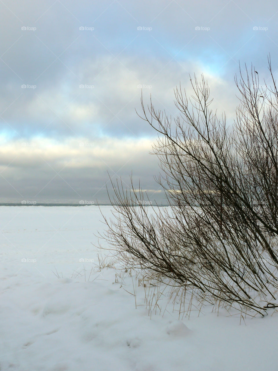 Winter scenics in Jūrmala, Latvia.