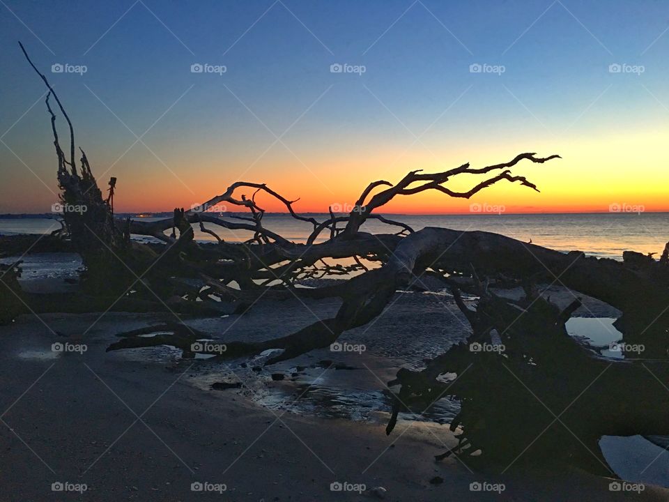 Beach, Water, Sea, Landscape, Ocean