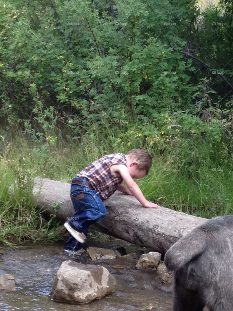 Little Boy playing in the creeks of Ely Nevada