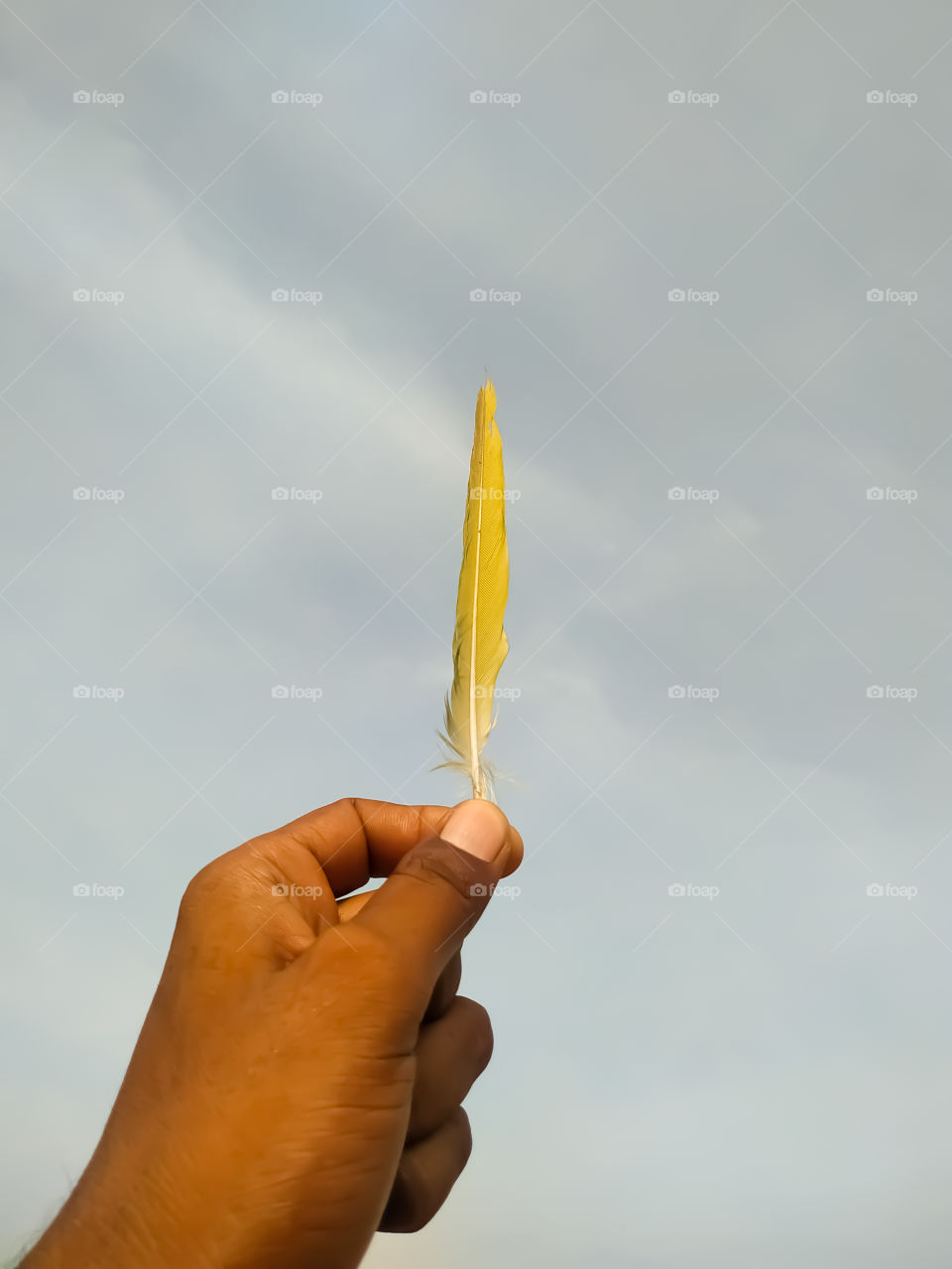 hand holding Bird wings  on sky background