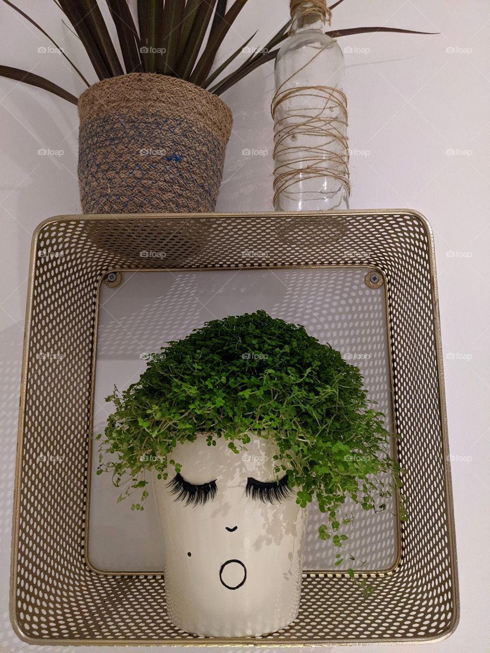 Plant pot with funny face and plant as  afro hair