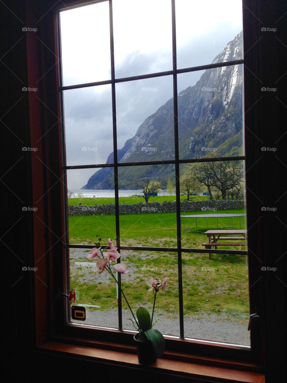 Window fjordview. From the Lysefjord, Norway