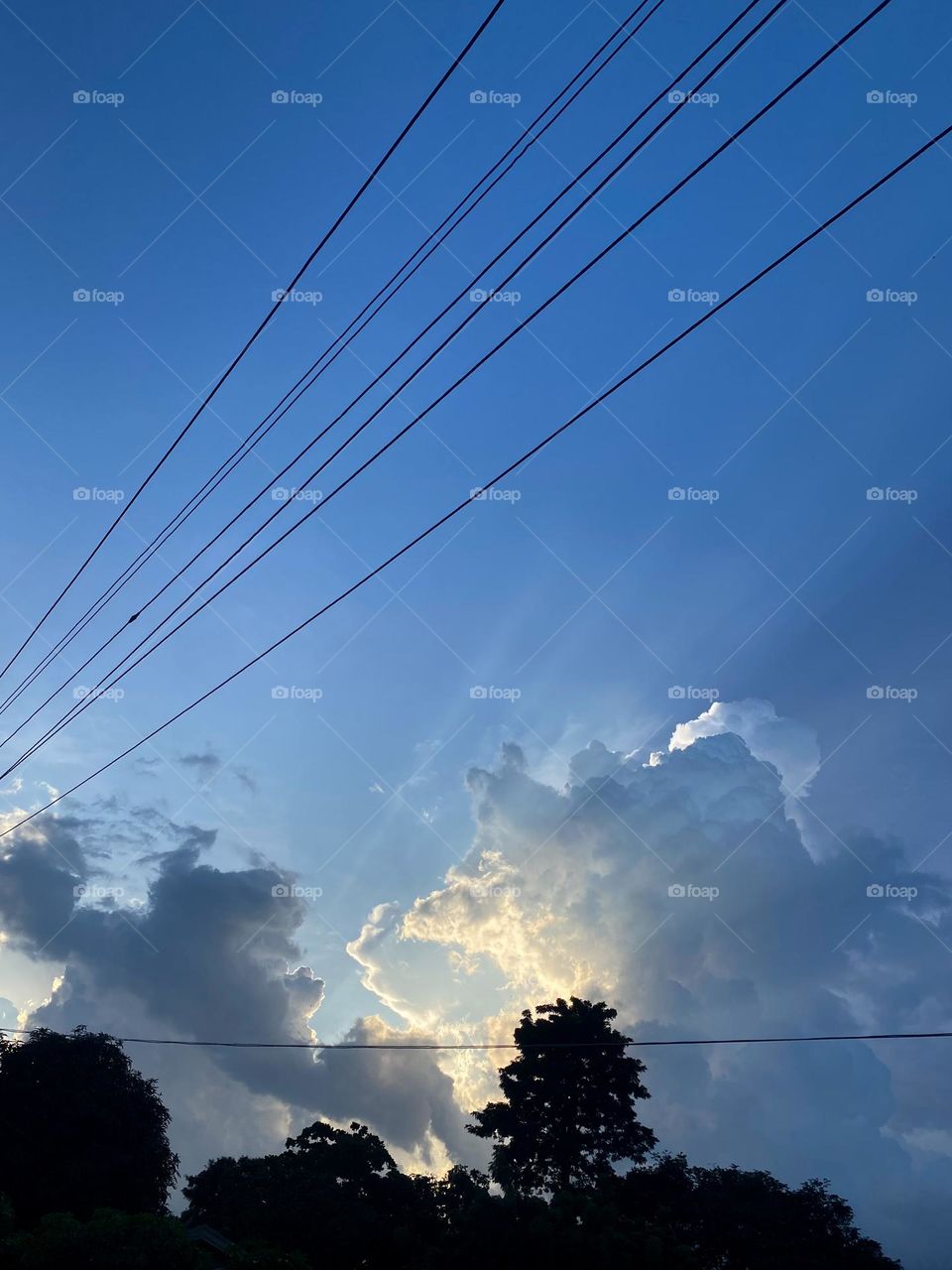 Cloud, sky, evening, trees, space, peaceful.
