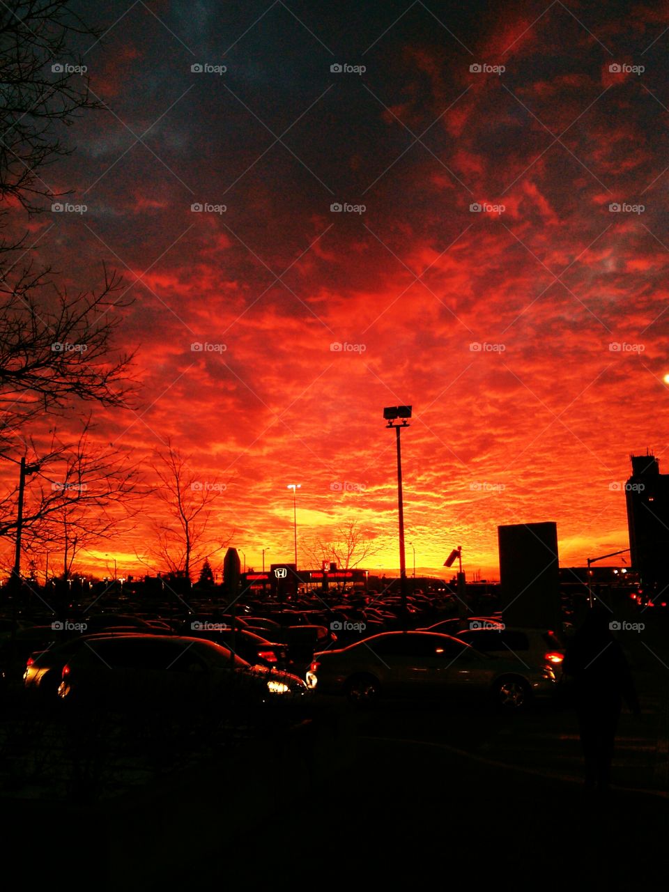 Sky Ablaze . This was taken in Toronto....Very surreal.