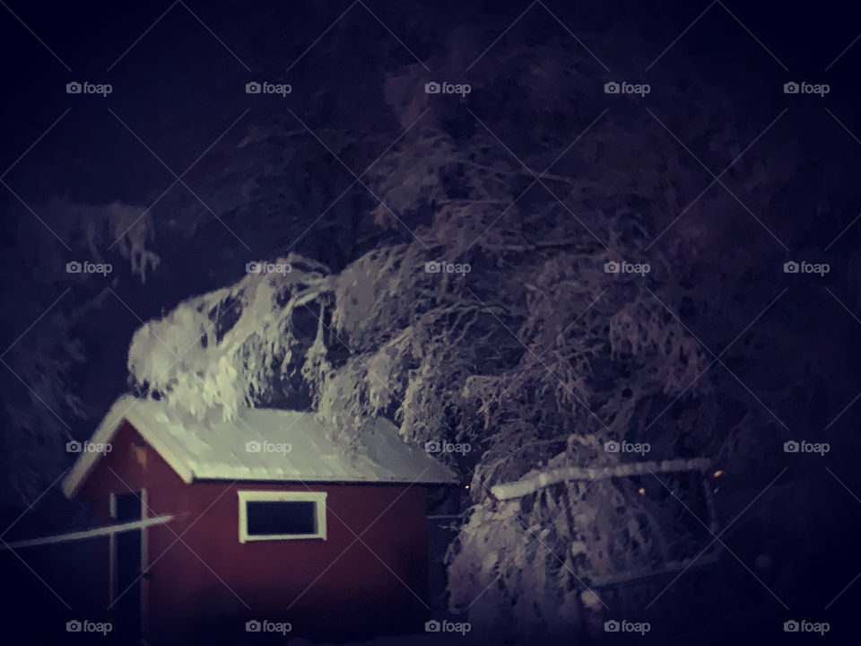 Snow covered tree and roof at a cold winter night 