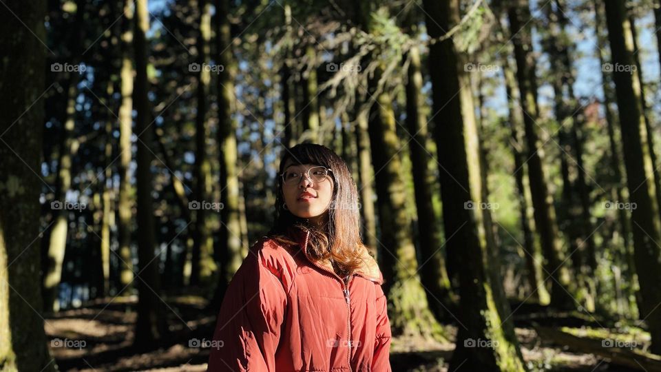 Take a walk in the forest.