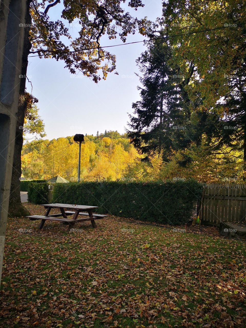 Autumn and a bench