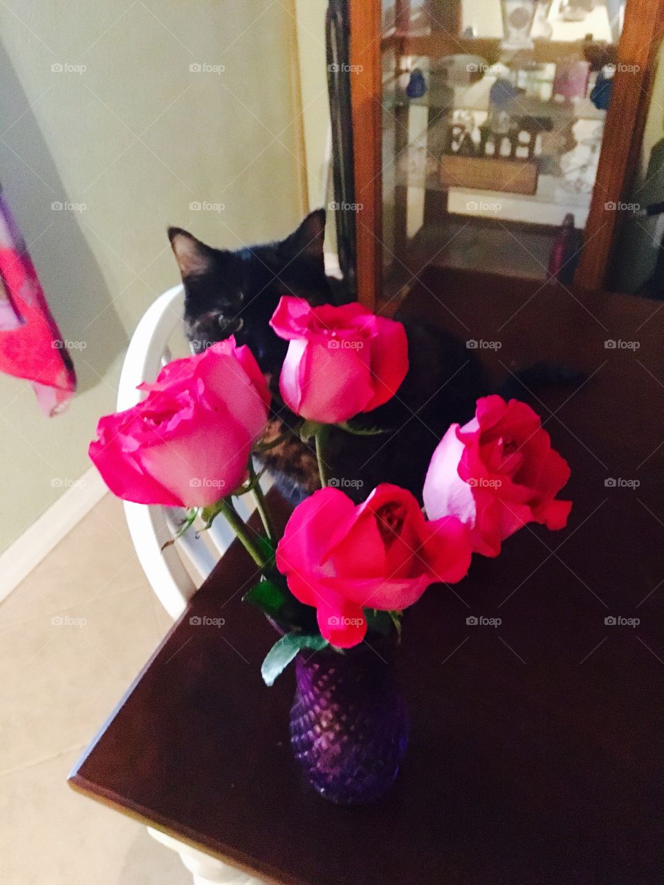 No, Kitty, the flowers are not for you!