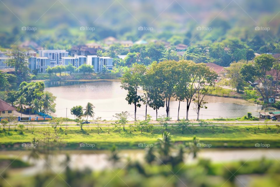 Miniature effect of a nearby Pond 