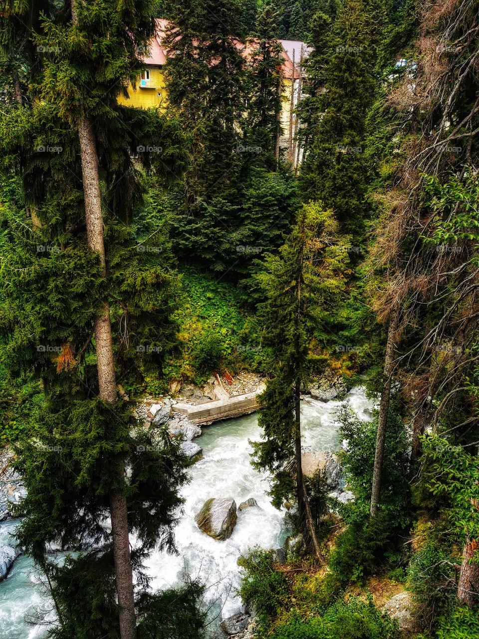 From up to above feet legs mountains hills field nature view eco focus day part sun sunny travel Light reys trip form plant part shades shape beauty greens outdoor freedom happy happiness