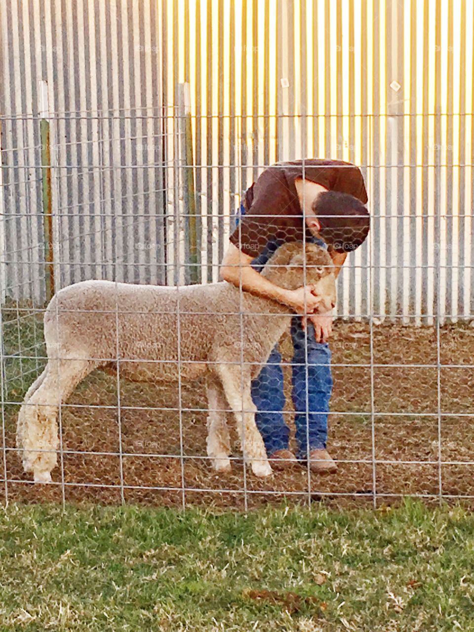 When you love your FFA market animal. 