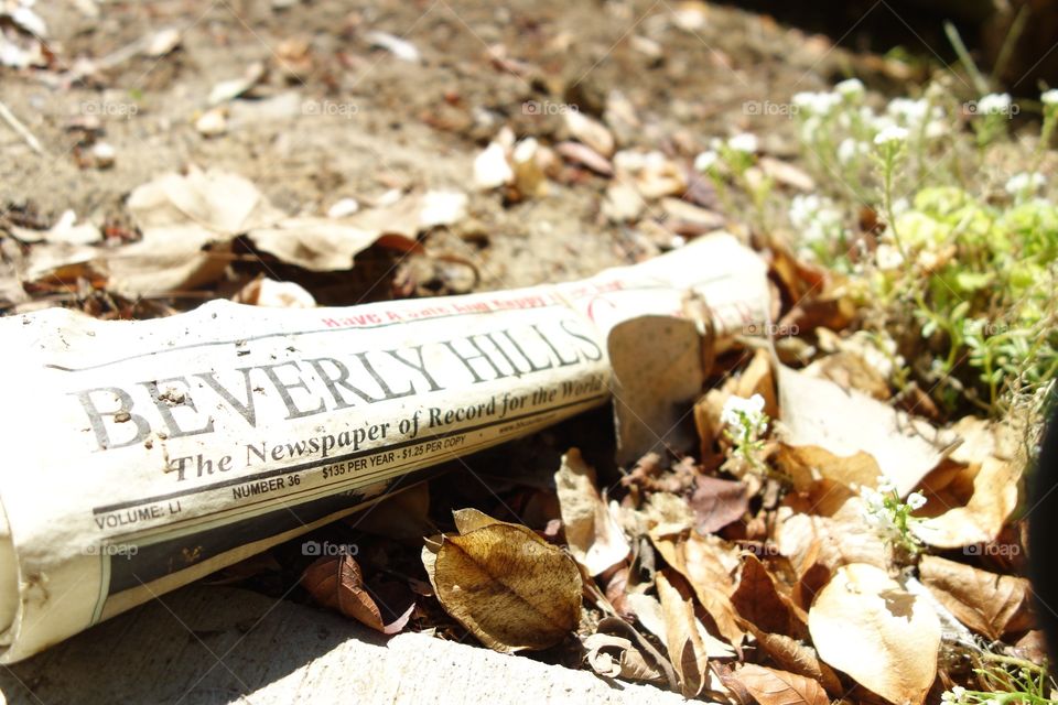 Beverly Hills news in the dried leaves 