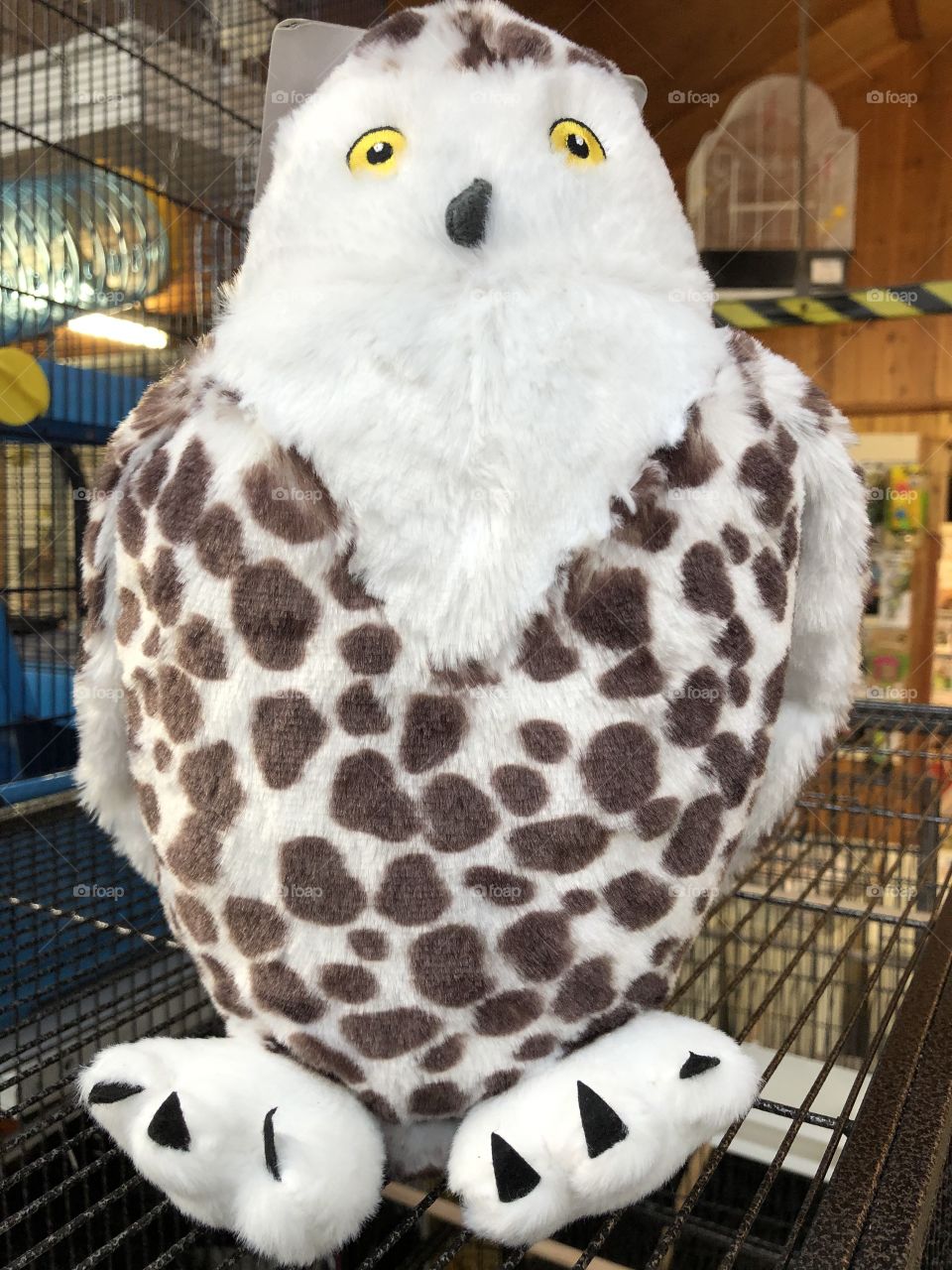 I rather love this cuddly owl, l rather love owls anyway and this one is absolutely gorgeous.