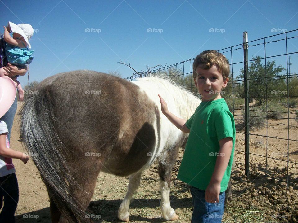 Boy and horse