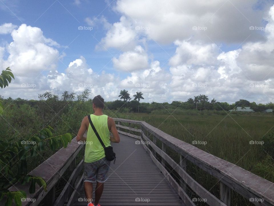 Everglades path